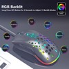 Wireless Mouse Dual Mode Programmable Keys RGB Backlit Adjustable DPI