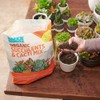 Back to the Roots 6qt Succulent & Cacti Mix