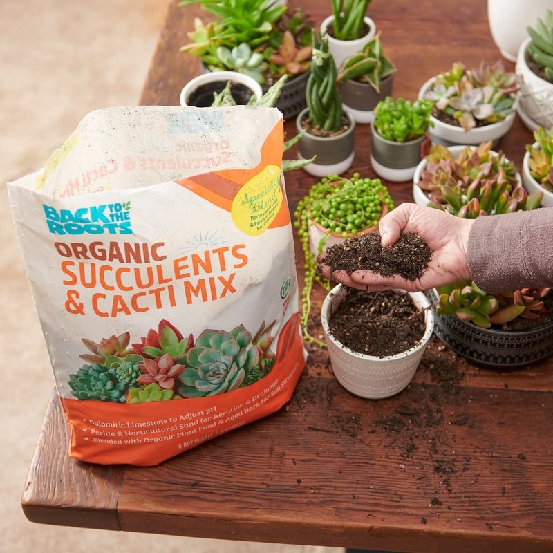 Back to the Roots 6qt Succulent & Cacti Mix