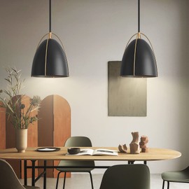 FookChak Black Dome Pendant Light 10in 1-Light Kitchen Pendant Lighting Egg-Shaped Black Gold Pendant Light Fixture for Kitchen Island, Dining Room,Kitchen Sink,Bar,10in，E26