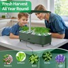 Hydroponics Growing System Kit Indoor: Aeroponics Herb Garden Kit 15