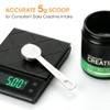 Aieve 5g Creatine Scoop,2 Pack Stainless Steel Measuring Scoops for