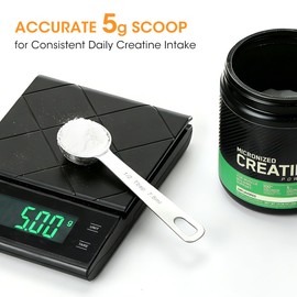Aieve 5g Creatine Scoop,2 Pack Stainless Steel Measuring Scoops for Creatine Monohydrate Powder, Accurate 5 Gram Portion for Consistent Daily Intake