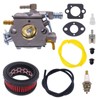 FitBest Carburetor WT-985 with Air Filter Fits Echo CS-370 CS-400