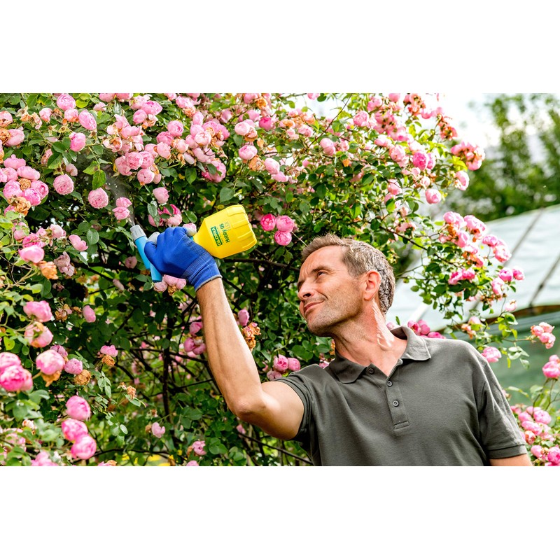 Baby Lips Balm Crayon