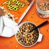"Brand": "General Mills" REESE’S PUFFS Chocolatey Peanut Butter Cereal, Kid