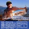 DAIWA Shoreline Shiner Z Vertis STG 97F Orange Head Milbinago