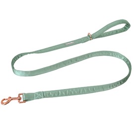 Lionet Paws Dog Lead, Silk Lead for Small, Medium and Large Dogs, Matching Collar for Girls and Boys