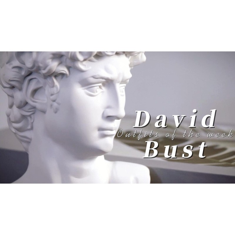 Waldosia 6 Inch Michelangelo's David Bust Statue (White)