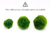 AMICET Aquarium Decoration Moss for Fish Tank Landscaping Balls (6pcs,