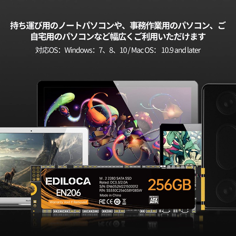 EDILOCA EN206 SSD 256GB M.2 2280 with 3D TLC NAND