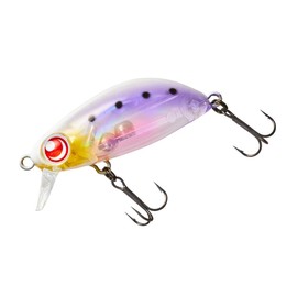 DAIWA Z36S Ajing, Mebaling, Tsukishita Bijin Gengoro, Horoi Shirasu