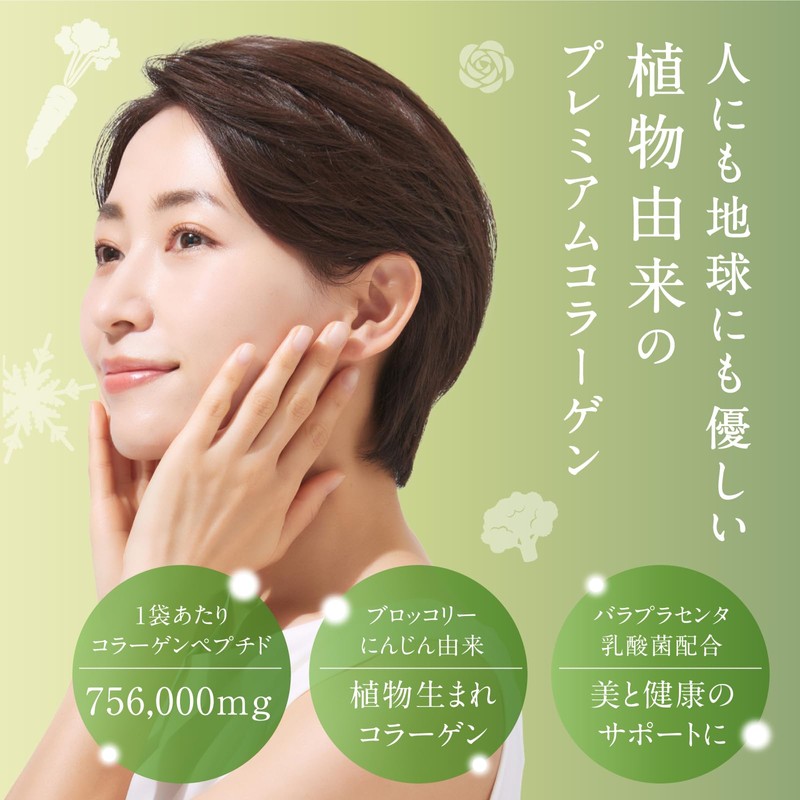 タマチャンショップ こなゆきプラントベースコラーゲン 100g 低分子コラーゲンペプチド 植物性