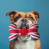 PetLondon British London 13" Union Jack Bone, Canvas Plush Dog