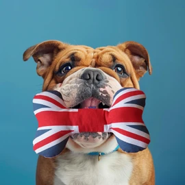 PetLondon British London 13" Union Jack Bone, Canvas Plush Dog And Puppy Toy, Canvas Bone With Squeaker, Cute Fun Royal Queen Union Jack Dog Interactive Toy