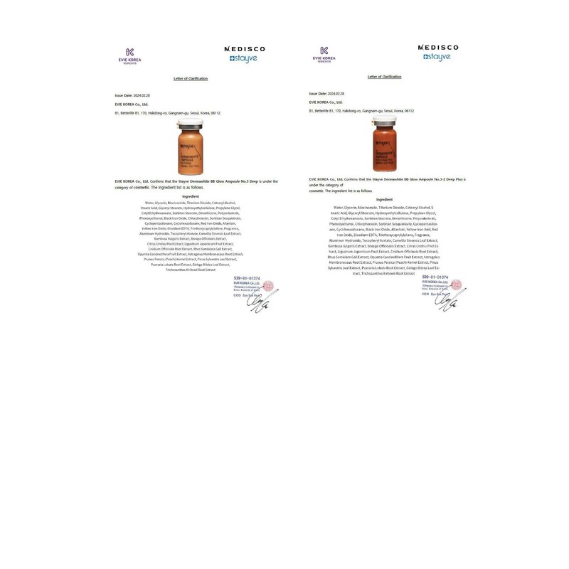 Stayve BB Shine Glow Customized Kit Booster and Pigments Mix