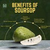 Soursop Graviola Drops: Soursop Extract Organic with Seamoss 120ml/4oz Extra