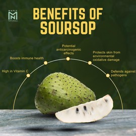 Soursop Graviola Drops: Soursop Extract Organic with Seamoss 120ml/4oz Extra Large Bottle
