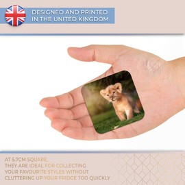 Destination Vinyl ltd Fridge Magnet - Cute Baby Lion Cub Cat 15785