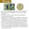 BIBLE N Beautyoils Cleanse Me With Hyssop Natural Soap Bar,