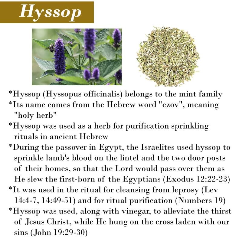 BIBLE N Beautyoils Cleanse Me With Hyssop Natural Soap Bar,
