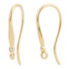 Beebeecraft 1 Box 20 Pieces 18K Gold-Plated Earring Hooks Zirconia