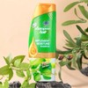 Repair the Damaged Hair 2 in 1Hair Care Nourishing and