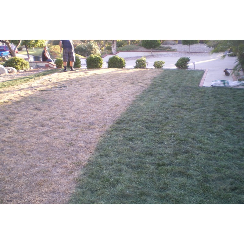 Lawnlift Pre-Mixed Grass Paint 32 Ounce Ready to Spray, No