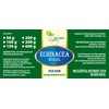 VITAIDEAL VEGAN® Echinacea root powder (Echinacea purpurea, coneflower, purple coneflower)