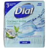 Dial Skin Care Bar Soap, Coconut Water, 4 Ounce (Pack