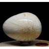 2.3" 130g White Orange Scolecite Sprays Carved into Egg Polished