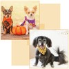SUPERFINDINGS 3Pcs Dog Bandana Sewing Template Set 3 Size Triangle