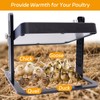 UIQELYS Chick Brooder Heat Plate, Adjustable Height, Safe & Energy-Efficient