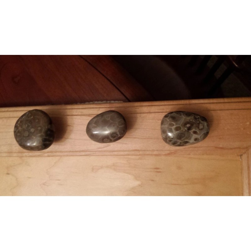 Petoskey Stone Door Knob