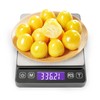 KitchenTour Digital Kitchen Scale - 500g/0.01g High Accuracy Precision Multifunction