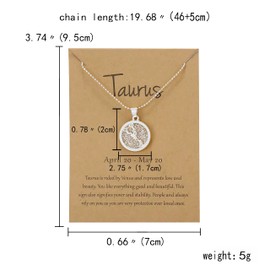 Silver Star Sign Coin Constellation Pendant Chain Necklace – Night – Pisces (19th February - 20th March) - Zodiac Constellation Horoscope Celestial Astrology Jewellery - Women Men Gift