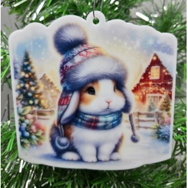 Farm Bunny Winter Themed Ornament