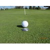 Levelhead Ballmarker Putting Aid (Green) - Alignment Tool for Reading