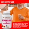 AG nature Berberina HCL 500 mg 120 Tablets - Natural