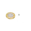 N35 Neodymium Magnet for Arts, Crafts, Model Making, Diy, Hobbies