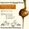 Altay Raw Buckwheat Honey - 100% Pure, Unfiltered, Unpasteurized, Ethically