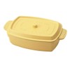 Takenaka Kokopotto Rectangular Bento Box