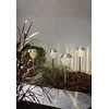 Best Season Solar Lighting, Palma, Silver, 12 x 28 x