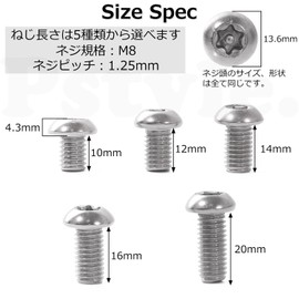 Pstyle PST-141 M8 304 Stainless Steel Screw Bolts for Tamper Prevention, Set of 10 (M8x12mm)