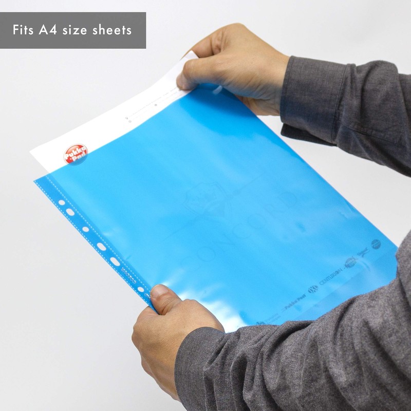 Pukka Pad, Concord A4 Coloured Punched Pockets – 1 Pack