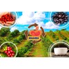 Cafe MAMI 8.8 oz | 1 unit, Pure Ground Coffee - 100% from Puerto Rico