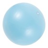 OHPHCALL 2pcs Professional Yoga Ball Small Ball Home Workout Core