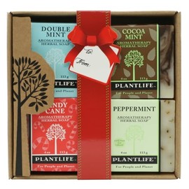 Plantlife Holiday Soap Combo 4 Pack – Holiday Mint - Includes Peppermint, Candy Cane, Cocoa Mint, and Double Mint - Moisturizing and Soothing Soap for Your Skin - Made in California 4 oz - Set of 4