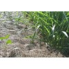 Farm Plastic Supply - Double Net Straw Erosion Control Blanket