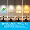 DAYBETTER 12Pack BR30 LED Light Bulbs Indoor Flood Light 65W